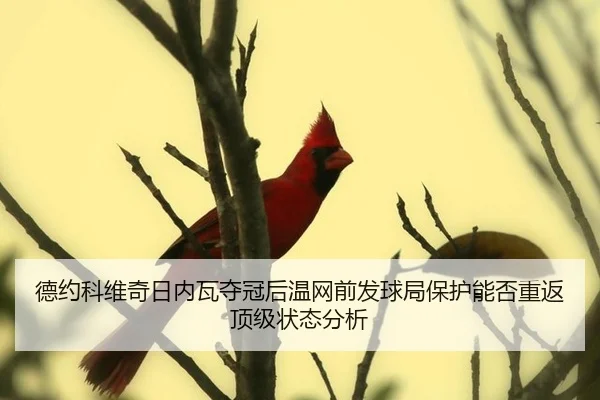 de-yue-ke-wei-qi-ri-nei-wa-duo-guan-hou-wen-wang-qian-fa-qiu-ju-bao-hu-neng-fou-chong-fan-ding-ji-zhuang-tai-fen-xi-2-843.jpg