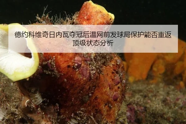 德约科维奇日内瓦夺冠后温网前发球局保护能否重返顶级状态分析