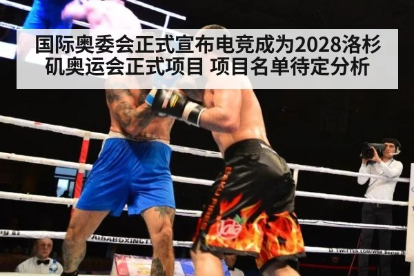 国际奥委会正式宣布电竞成为2028洛杉矶奥运会正式项目 项目名单待定分析